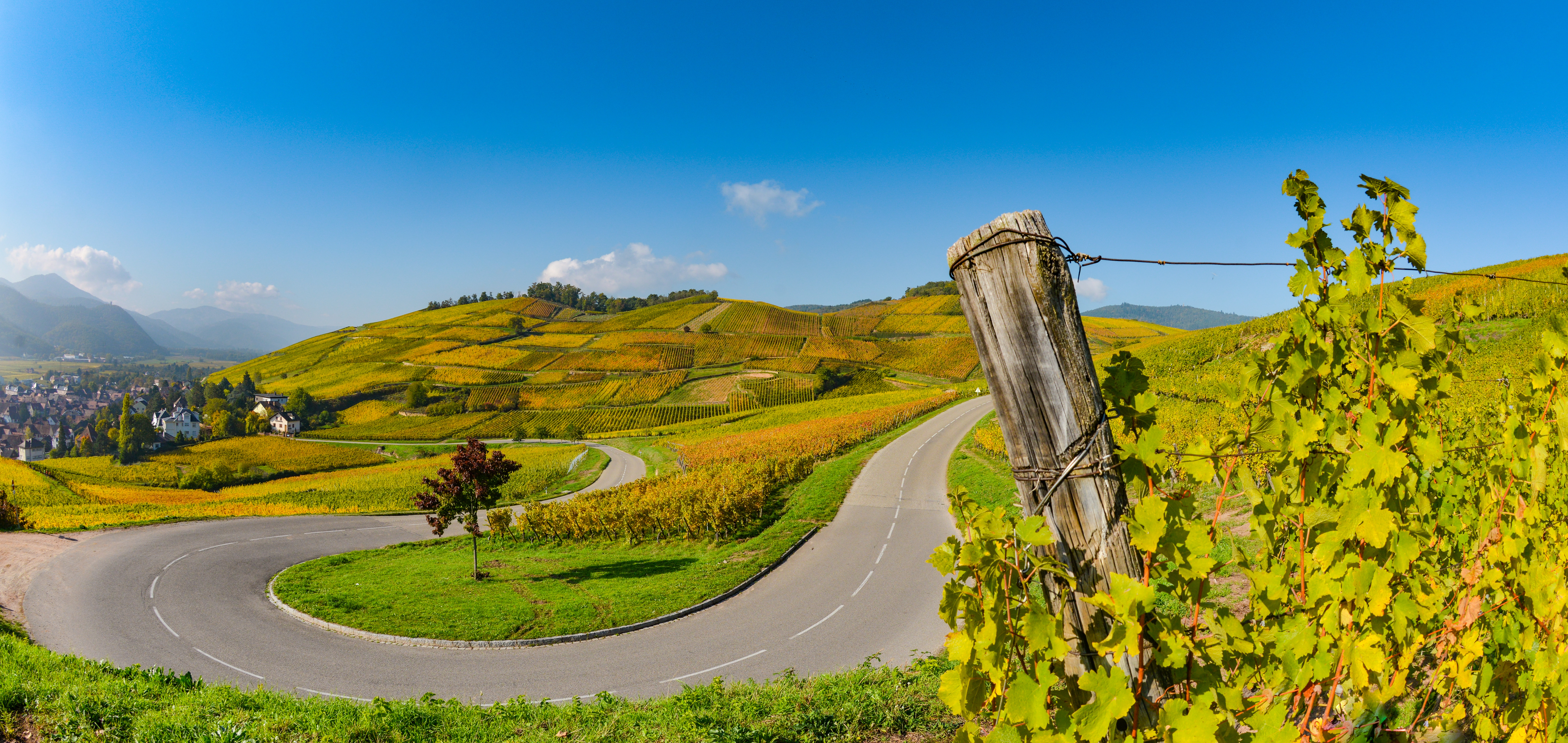 La Route des Vins d'Alsace et ses villages à moto
