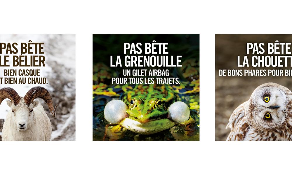 trois visuels de la campagne