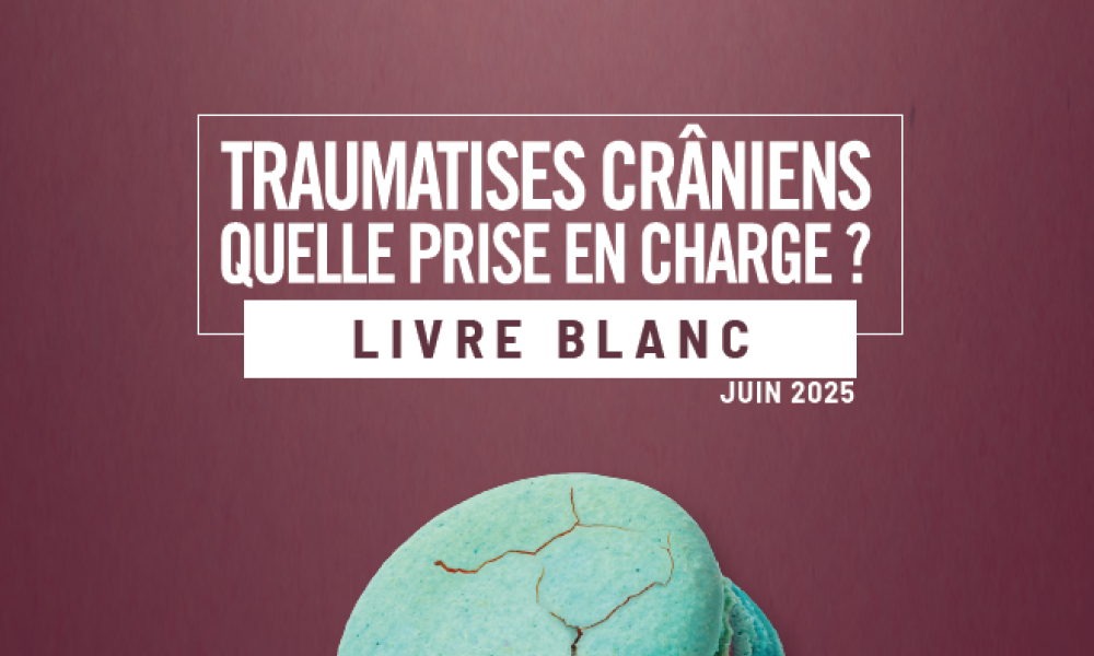 livre blanc