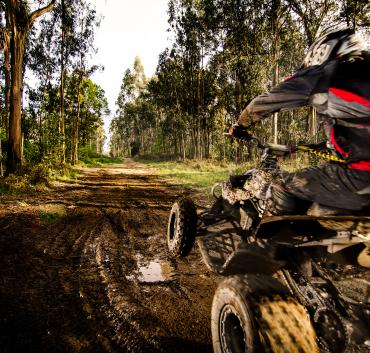 quad et buggy