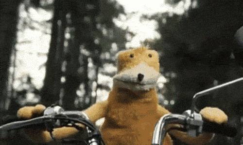 Gif d'un muppet conduisant une moto